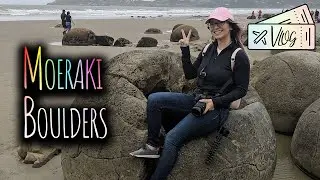 Road Trip from Christchurch to Dunedin! Moeraki Boulders and Blue Penguins! | Travel Vlog Day 3