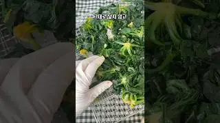 섬초 흑백요리사2 선재스님 시금치 나물 #요리 #레시피 #shorts