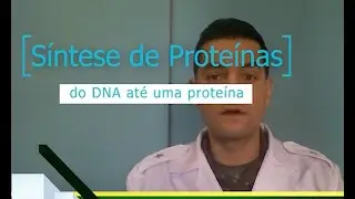Síntese de proteínas - do DNA de um gene até uma proteína.