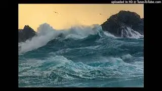 surf talinwya hepa Lthelizard naim type beat 