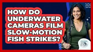 How Do Underwater Cameras Film Slow-motion Fish Strikes? - Chasing Big Fish