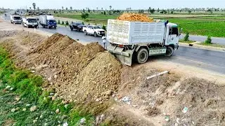 Best START NEw Project LANDFILL Task! by SMART DRIVER DOZER SKILL Pushing Soilrock with 5Ton Trucks