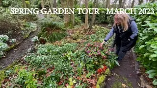 Early Spring Garden Tour and planting a new border.