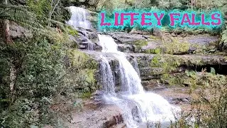 Liffey falls was amazing! (Tasmania Vlog)