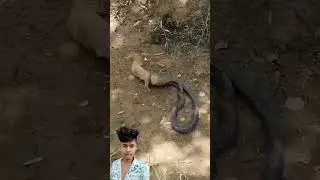 Nevla vs snake 🐍#snake #newala
