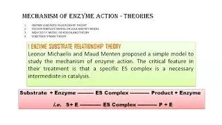 Listen and Learn Botany form Sagar A. Deshmukh. Topic:  Enzyme - Mechanism of enzyme action