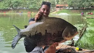 Quando o Tambacu chama a Emo&ccedil;&atilde;o domina !!! Pesqueiro do Chico 🎣