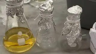 Praktikum Mikrobiologi (Sterilisasi Alat dan Pembuatan Media NA)