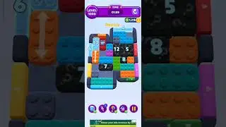 Color Block Jam Level 1000