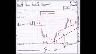 TARGET SHORT SELLERS 