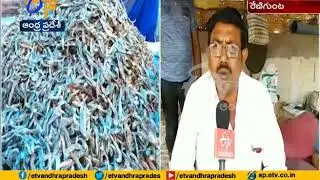 Different Types of Fish Sales in Fish Market at Renigunta