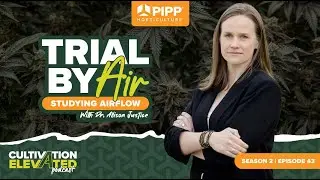Trial By Air: Studying Airflow with Dr. Allison Justice