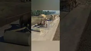 How were Roman Roads built? | रोमन सड़कें कैसे बनाते थे? #viral #romanempire #shorts