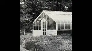 Síragon Gardens - Dreamers' greenhouse [ Signalwave | Vaporwave ]