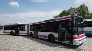 MAN Lion's City G