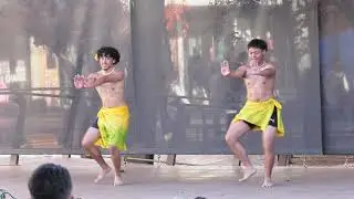 Cook Island Dance Troupe