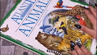 ASMR ~ Sfogliamo l’Atlante degli animali #4 *softspoken