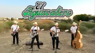 Hermanos Figueroa - El Aguacatero (En Vivo 2023)