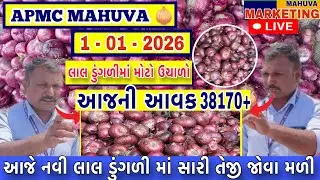જોવો આજની લાલ ડુંગળી ની લાઈવ હરાજી | APMC MAHUVA | આજની આવક 38170+ થેલા આખી |