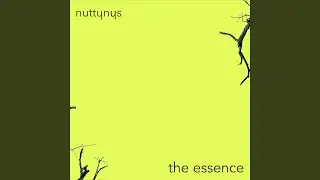 The Essence