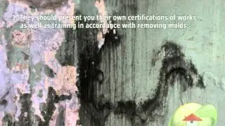 Mold Removal Contractor Connecticut