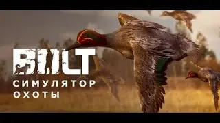 BULT | SHOTS ONLY | DH-18
