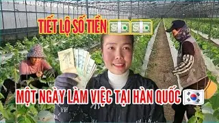 616🇰🇷 TIẾT LỘ SỐ TIỀN 1 NGÀY ĐI LÀM TẠI HÀN QUỐC.