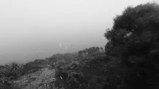 Hartz mountain snow