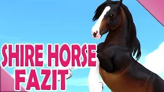 Mein 𝐅𝐀𝐙𝐈𝐓 zum Shire Horse 🐴💭 Kaddi's Stallgeflüster
