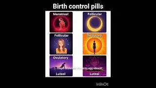 drosperinone ethinyl estradiol Yasmin Yaz Gianvi Ocella Zarah  ovulation sperm motility implantation