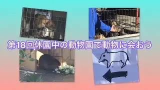 2025年1月26日　第18回「休園中の動物園で動物に会おう」