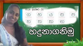 මධ්‍ය අක්ෂර අකුරු හදුනාගනිමු