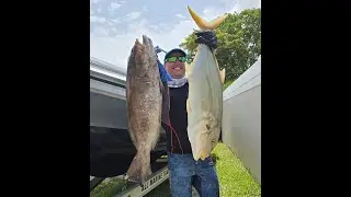 Miami SpearFishing ( Pesca Submarina en Miami, Florida, USA )