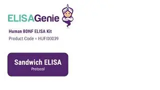 Human BDNF ELISA Kit (SKU: HUFI00039) - ELISA Genie