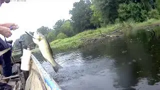 July of 2025 Jigger Pole Fishing.