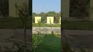 Mini Farm house 🏡 1100 sq.yrd. Call more info --9991261997