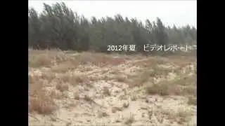 FoE Japan 砂漠緑化ビデオレポート（2012夏　ダチンノール村３期地区）