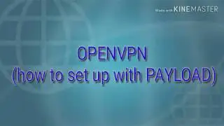 OPENVPN SET UP WITH PAYLOAD