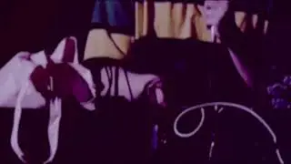 CMNDR - Whatever, Forever (Visualizer)