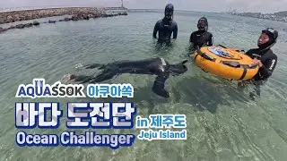 처음 프리다이빙 입문하다 (레벨1, 이론, 스태틱) l 바다도전단 Ep8