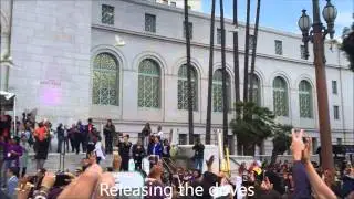 Prince Tribute at City Hall Highlights