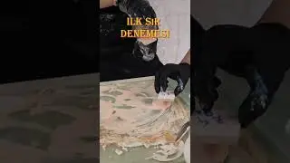 İlk Sır Denemesi