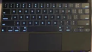 How To Change Brightness on Magic Keyboard for iPad [EASY]
