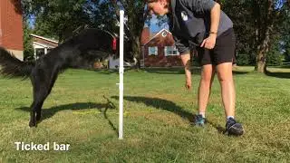 Caper collection drill 1