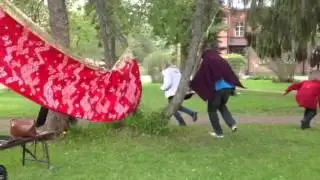 Kolme pient&auml; possua 2