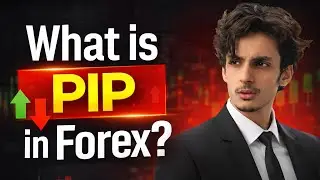 What is Pip in Forex Trading | Forex Basics for Beginners (Simple Urdu/Hindi)
