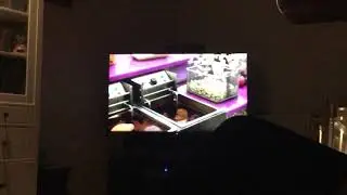 E4 chips ident 2018