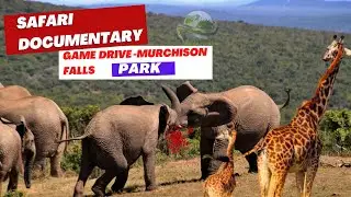 SAFARI DOCUMENTARY: Game Drive Through MURCHISON FALLS National Park || WORLD TOUR UG