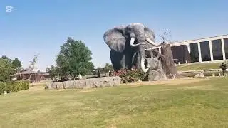 Zoo #dubaistyle#goodbye2025#zoo#animals#fun#dubailfe#viral100%