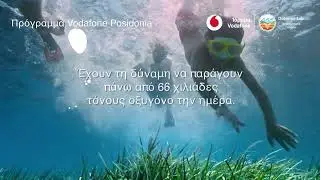 Did you know 01 - &Omicron;&xi;&upsilon;&gamma;ό&nu;&omicron;